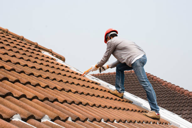 Reliable Fort Washakie, WY Roofing service Solutions