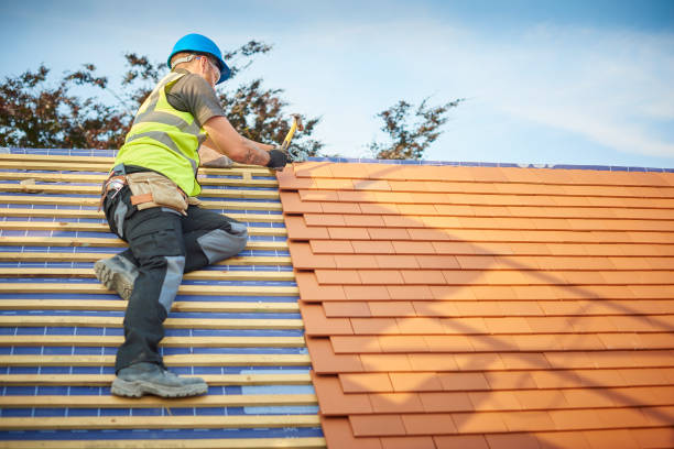 Best Skylight Installation and Repair  in Fort Washakie, WY